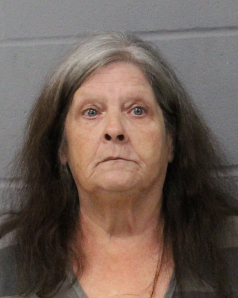 NELDA MIZE arrested by APD
