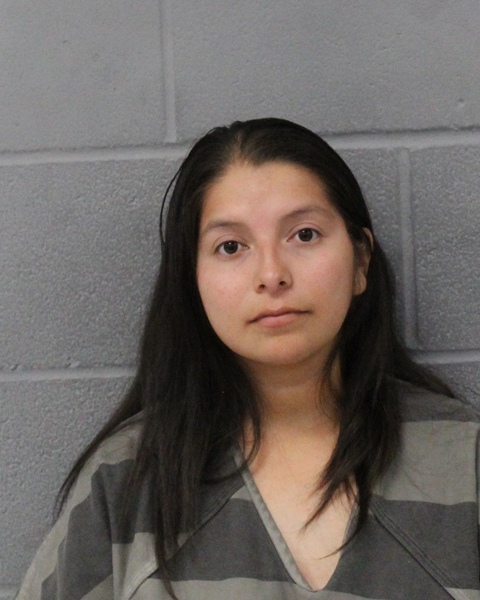 MARIBEL MARTINES arrested by APD