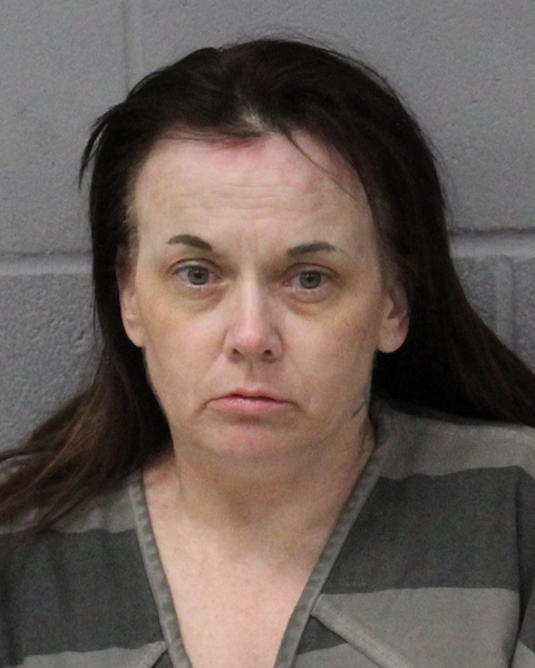 LEEANNE FLANAGAN arrested by APD