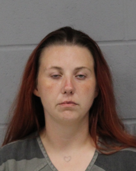 CIDNI INNES arrested by APD