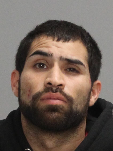 PINA, ARTURO DAVILA, Jr booking photo
