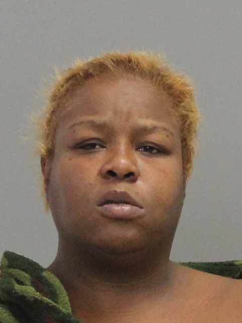 BRISCOE, RHONDA SIOBHAN booking photo