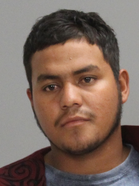 ALVARADO-GARCIA, JOVANY booking photo