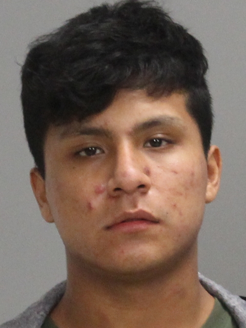 Vargas Arenas, Renato A booking photo