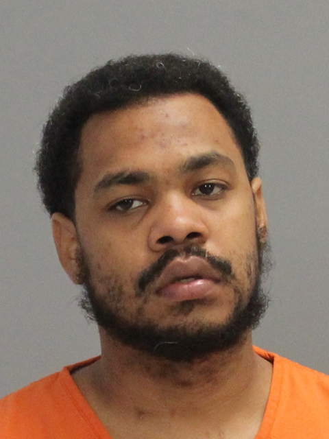 LOTT, RONNIE JAMES booking photo