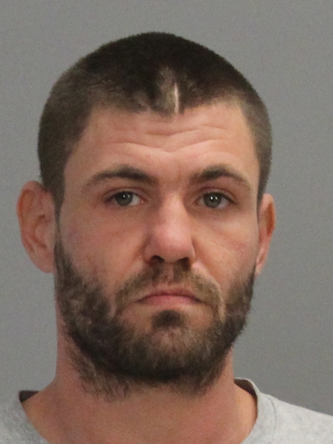 MICHAEL, GLENN ANTHONY ARMSTRONG booking photo