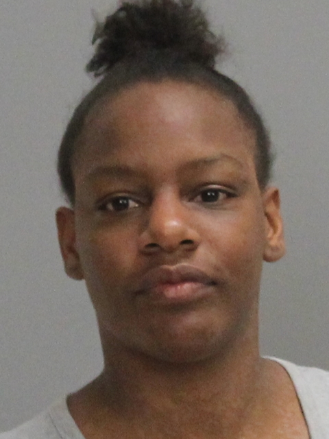 REESE, BRITTANY DIAMOND booking photo