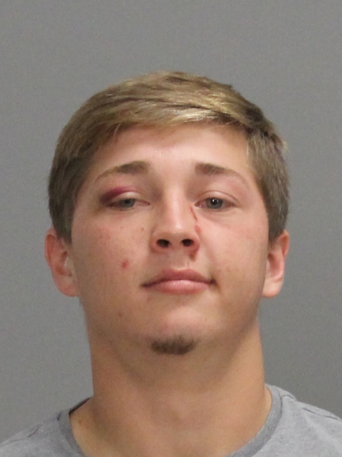 GASTON, REECE TANNER booking photo