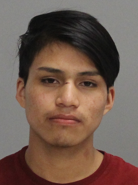 Perez, Sergio booking photo