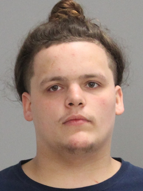Long, Devin Michael booking photo
