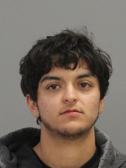 JOHNSON, MATHEA PRISCILLA IRENE booking photo