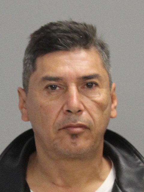 PINEDA, VALENTIN Y booking photo