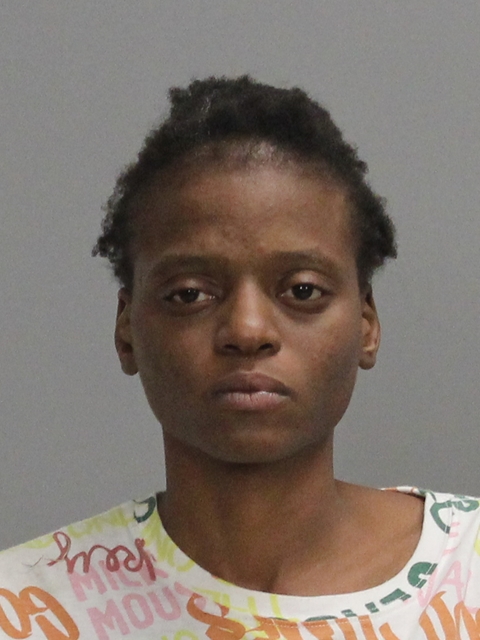 YOUNG, ALICIA MARIE booking photo