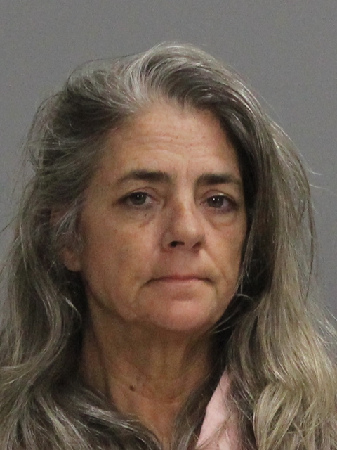 TAYLOR, SUSAN DAWN booking photo