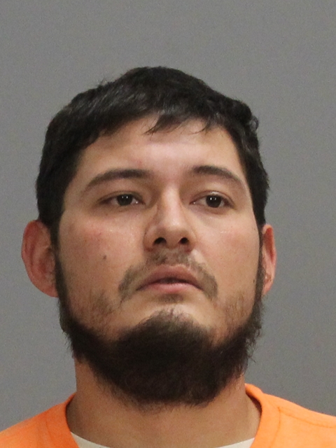 GRIMES, ERIC THOMAS booking photo