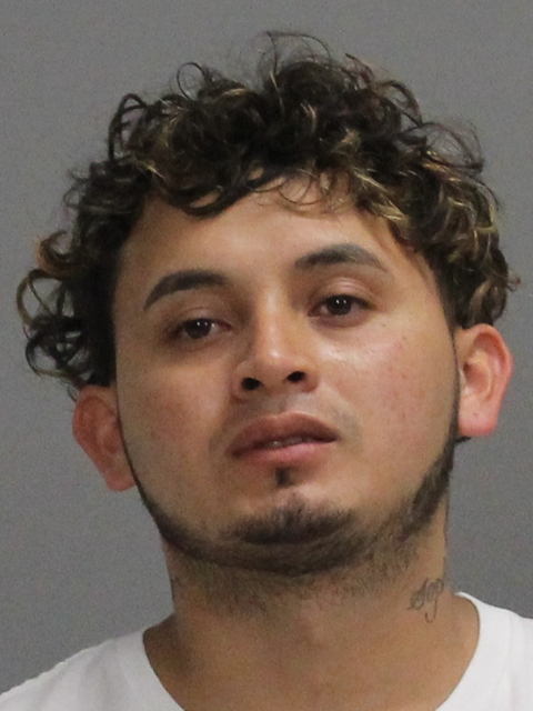 Portillo Andrade, Jaime Nehemia booking photo