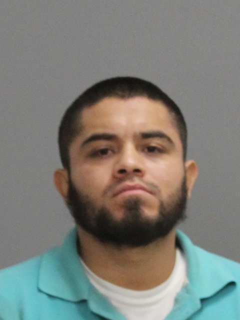 CASTILLO, DOMINGO GARCIA booking photo