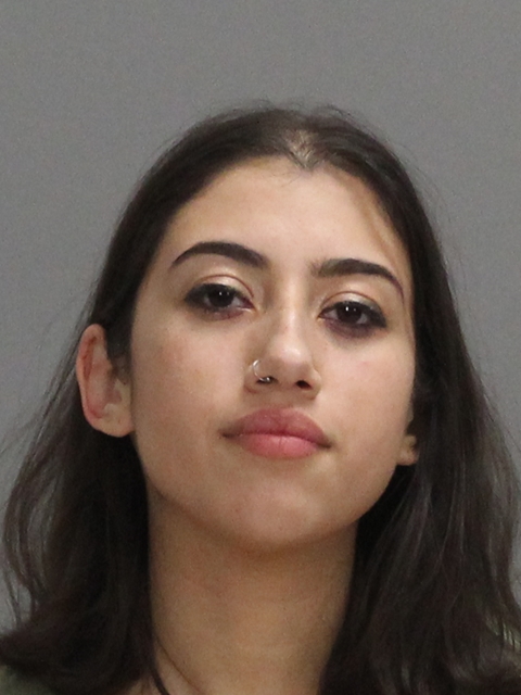 Renteria, Madison Lynn booking photo