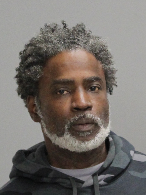 NEWSOM, LEEVELL JR booking photo