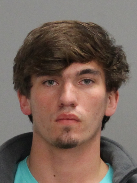 HIBBS, REAGAN DEMPSEY booking photo