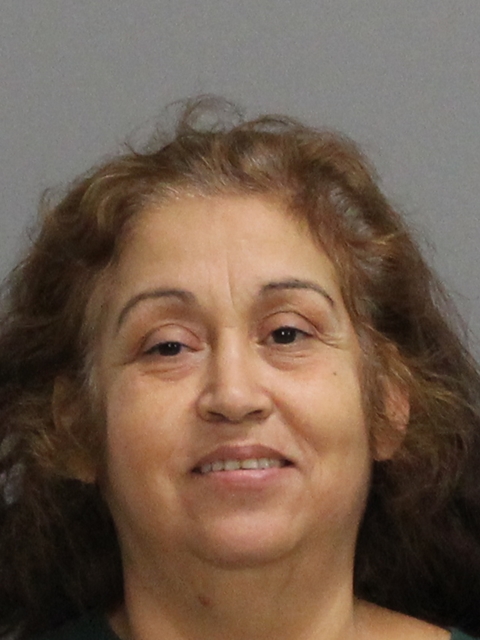 CASTELAN, ROSALINDA PENA booking photo