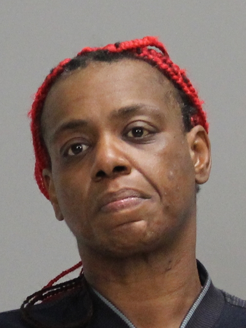 JOHNSON, LATANYA JEAN booking photo