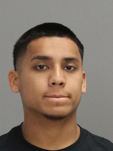 DELEON, ARES ULYSES booking photo