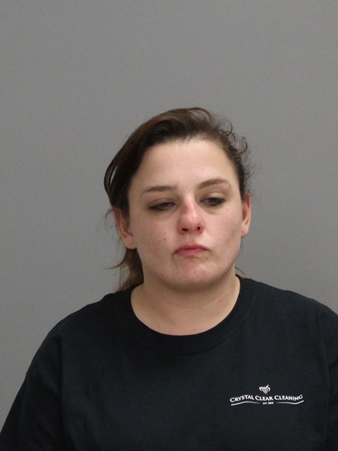 Schmiedeke, Sarah Jane booking photo