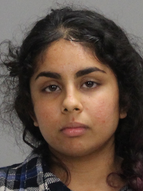 Louis, Julia Rose booking photo