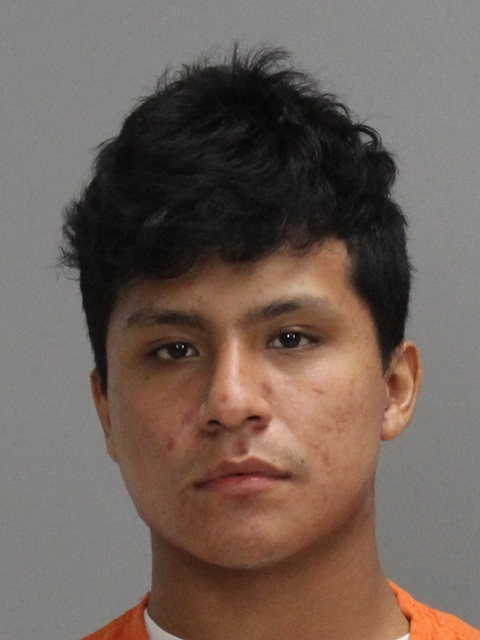 Vargas Arenas, Renato A booking photo