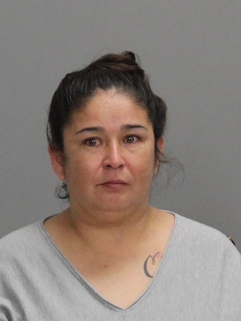 Ramirez, Renee booking photo