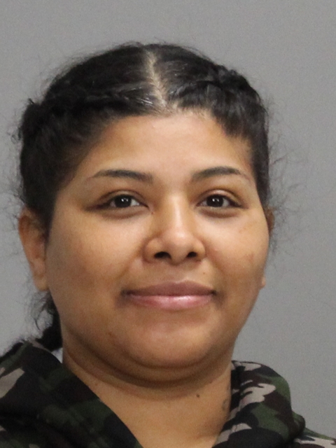 HERNANDEZ, DEBRA JOHAANA booking photo