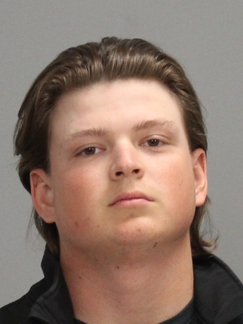 ERVIN, HOLT THOMAS booking photo