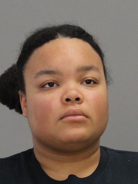 GIDDIENS, ALAYNA MARIE booking photo