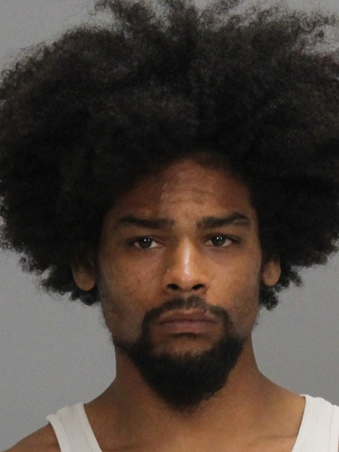 MILES, SHELDON DIONDRAE, Jr booking photo