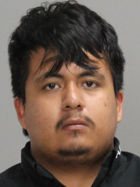 TZUNUM RAMIREZ, LUIS ALBERTO booking photo