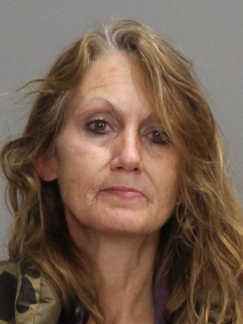 THOMAS, PAMELA LEONARD booking photo