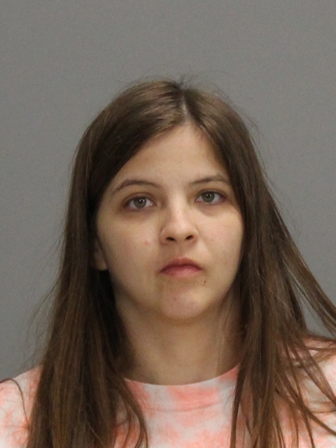JACOBUS, BRIDGET NICOLE booking photo