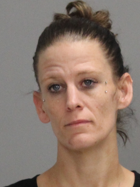 DAWSON, SONDRA LYNN booking photo