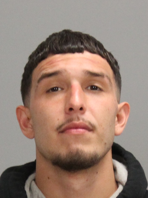 WOODS, STEVON CARLOS booking photo