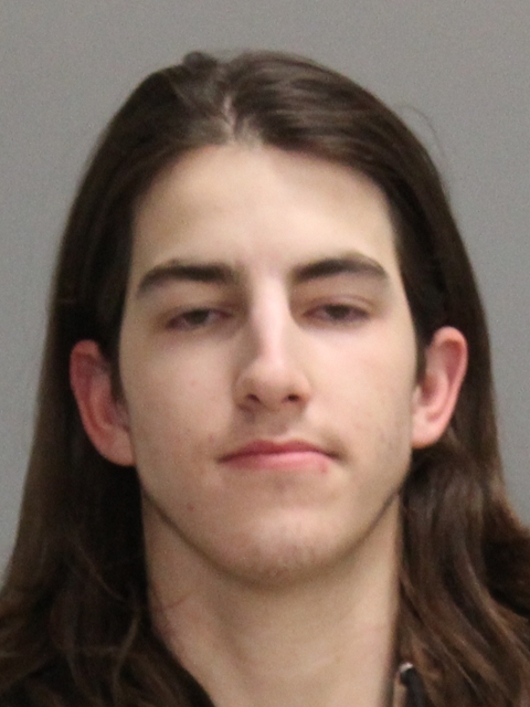 MAVERGEORGE, DAVID JOSEPH booking photo