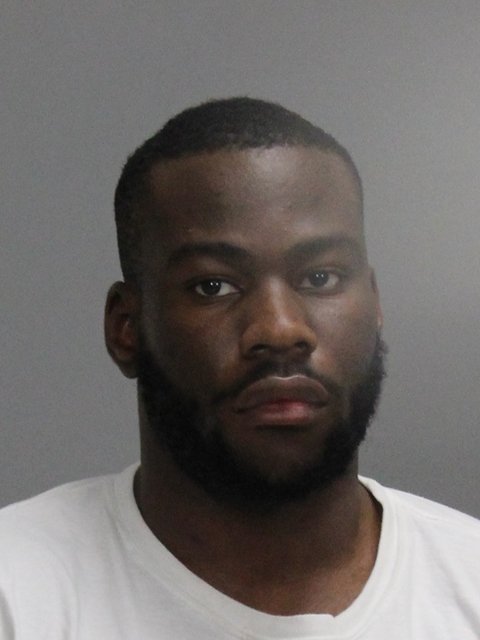 MARTINS, ANTONY JO booking photo