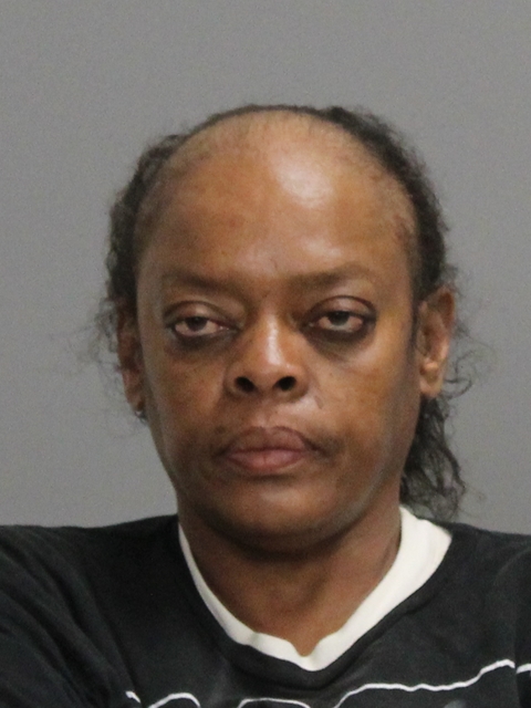 NOWLIN, TEMESHA RENEE booking photo