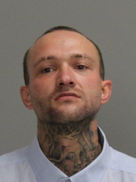 THAYER, TYLER DELANE booking photo
