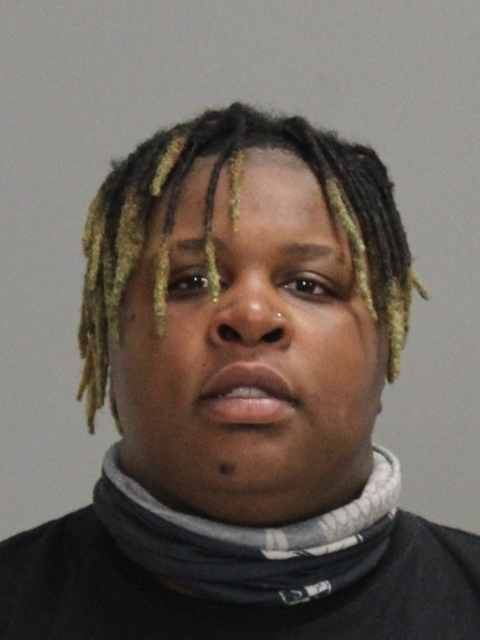 ROSS, QUANEISHA NICOLE booking photo