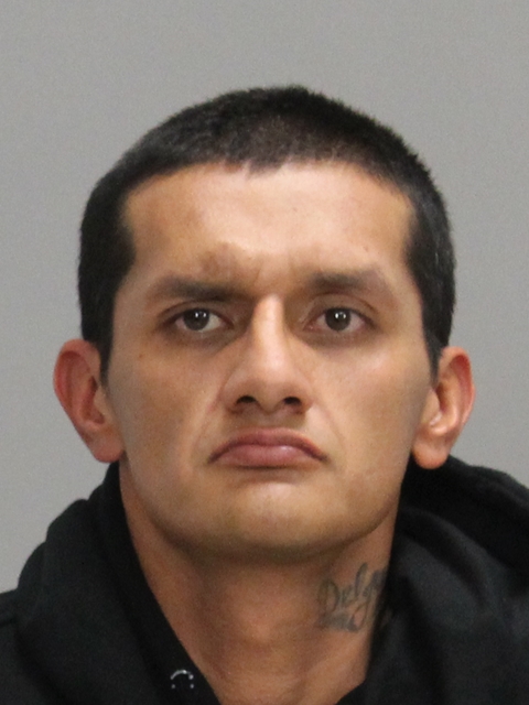 DELGADO, HILARIO booking photo