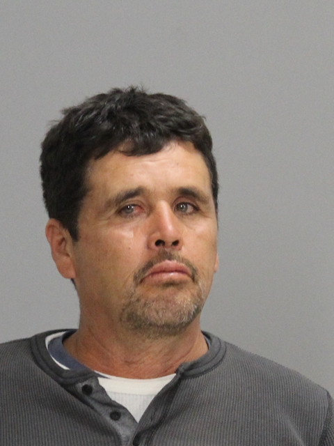 TELLO, FELIPE GUZMAN booking photo