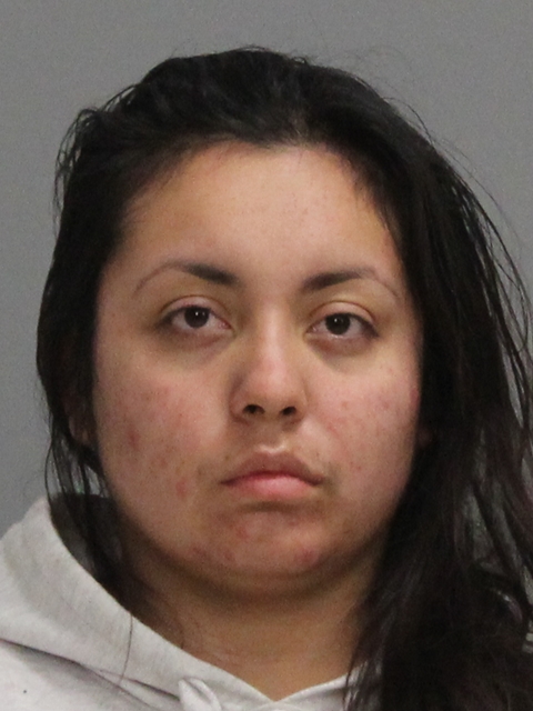 Gonzalez, Gloria Guadalupe booking photo