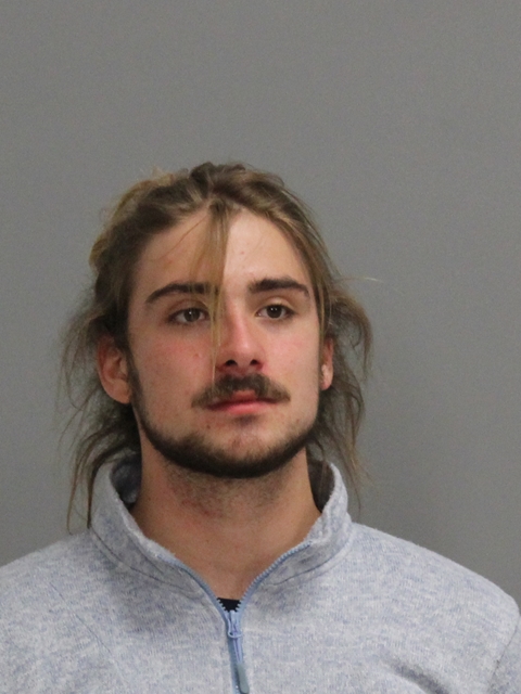 Proca, Andrei Daniel booking photo