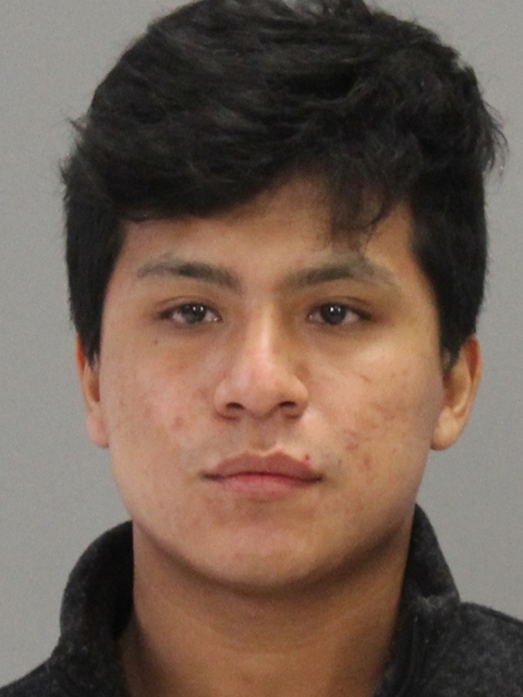 Vargas Arenas, Renato A booking photo